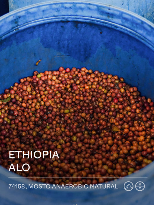 Terraform Ethiopia ALO 74158 Mosto Anaerobic Natural