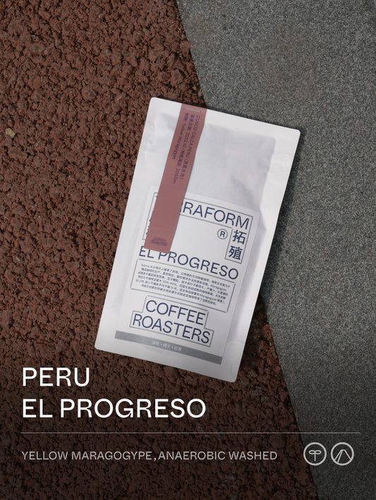 Terraform Peru EL PROGRESO Anaerobic Washed