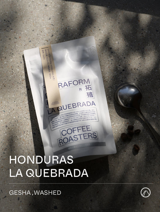 Terraform Honduras LA QUEBRADA Washed