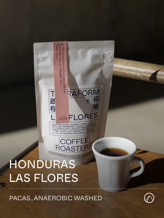 Terraform Honduras LAS FLORES Anaerobic Washed