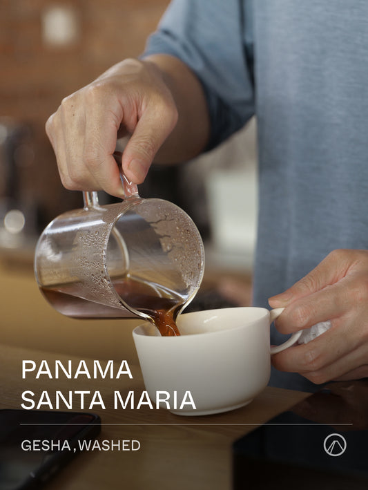 Terraform Panama SANTA MARIA GESHA Washed